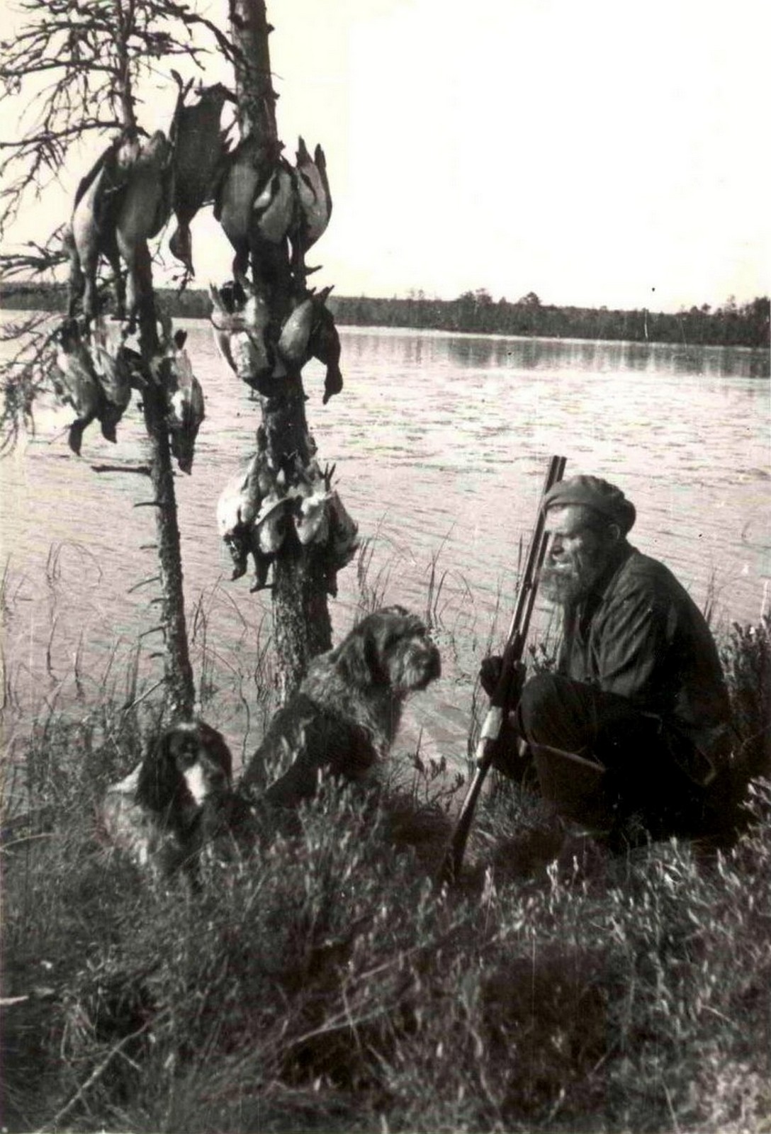 М.П.Павлов со своими собаками