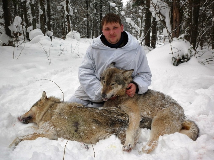 Волк в охотхозяйствах Урала