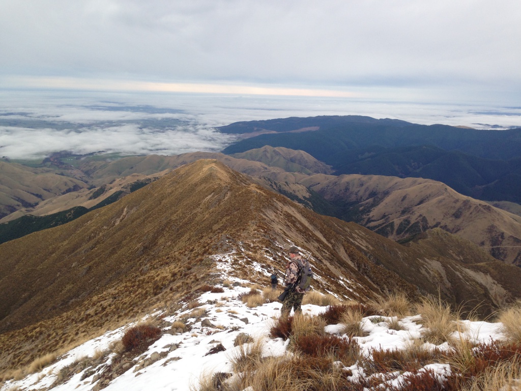 Земля багровых горизонтов, или За таром в Новую Зеландию