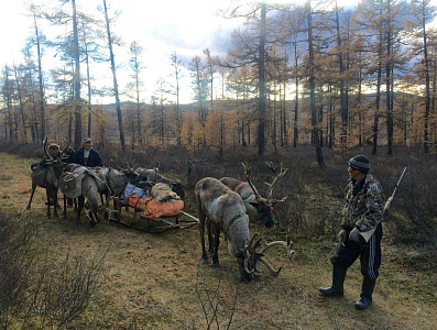 Пуще неволи: охота как часть культурного наследия России