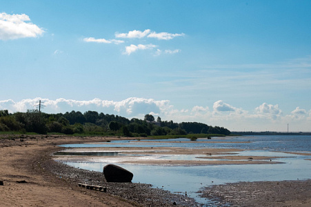 Ветер вдоль берега. Охота на взморье Финского залива