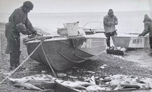 Организация охотничьего промысла в Тигильском госпромхозе в 1970–1980-х годах